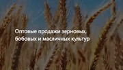ООО Агропром - оптовая реализация продуктов питания в Узбекистане