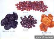 Сухофрукты,  г. Самарканд